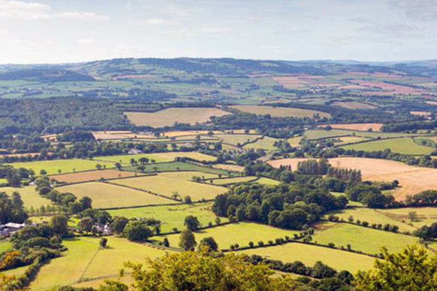 Private Hire Sightseeing Somerset
